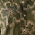 Tide & Bloom Cotton Shirt (Olive Green)