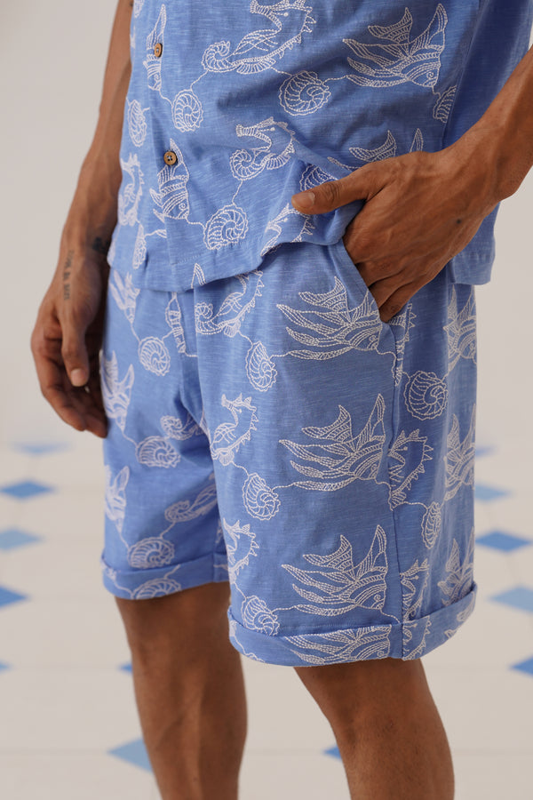 Tidal Tales Shorts